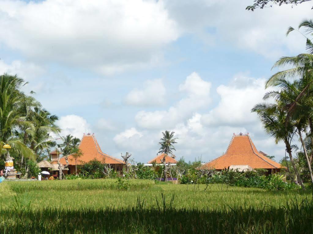 Villa Umajati Retreat Ubud Esterno foto
