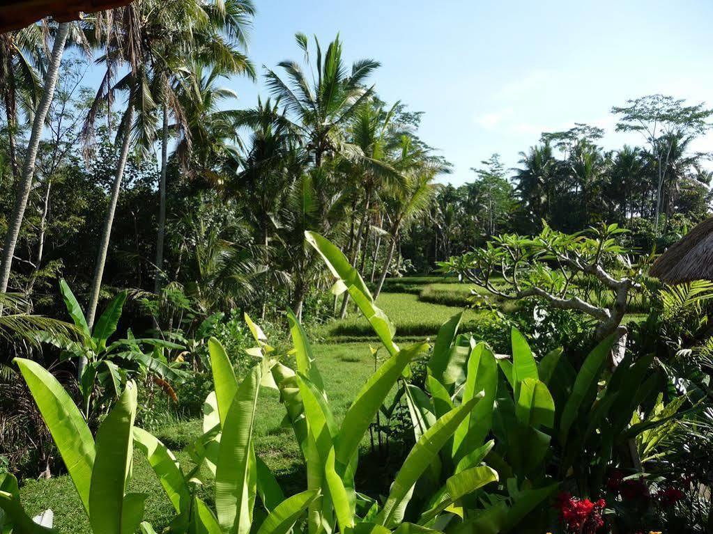 Villa Umajati Retreat Ubud Esterno foto