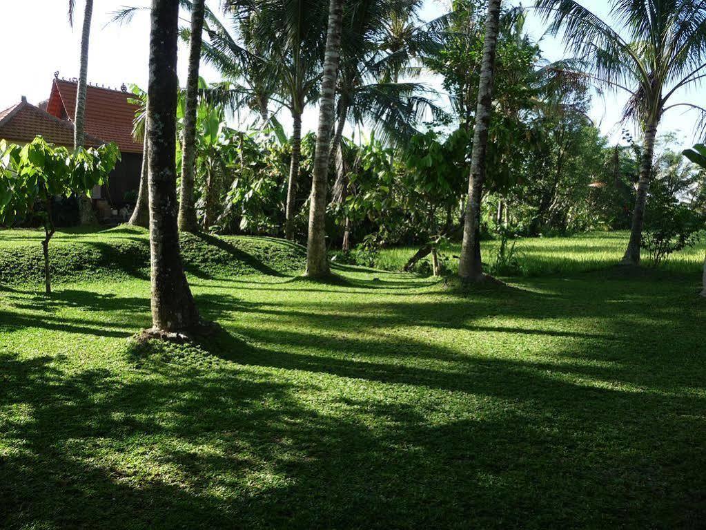 Villa Umajati Retreat Ubud Esterno foto